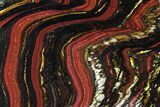 Polished Tiger Iron Stromatolite - ( Billion Years) #95893-1